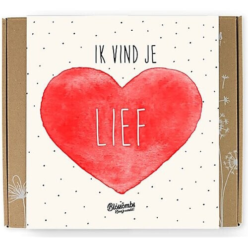 Blossombs Zaadbommetjes Gift Box Medium - Lief