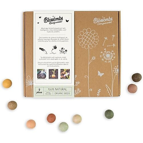 Blossombs Zaadbommetjes Gift Box - Medium