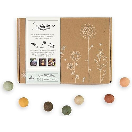 Blossombs Zaadbommetjes Gift Box - Small