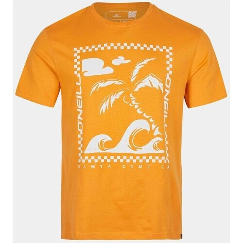 O'Neill Fin T-Shirt T-Shirt Ss Geel