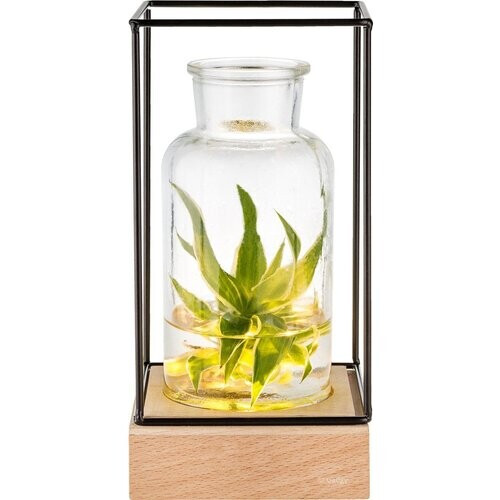 Tweedekans Gadgy Vaas met LED Verlichting - Vaaslamp - Glazen Vaas met Lamp - Moederdag Cadeautje - Hydroponie - Werkt op Batterijen – Tafellamp - Ø11 cm