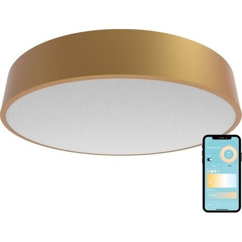 Tweedekans Gologi Slimme Plafondlamp – Plafondlampen – LED RGB – Plafonniere – Industrieel – Slaapkamer & Woonkamer – Ø 30cm – Goud
