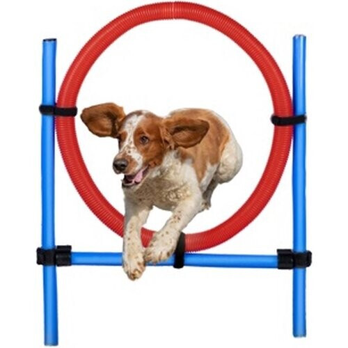Tweedekans maxxpro Agility Ring - Set Agility voor Honden - 85 x 3 CM - Kunststof - Blauw/ Rood
