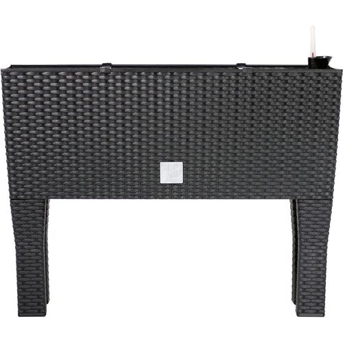 Tweedekans Prosperplast Plantenbak polyrattan look antraciet 60x25x46cm