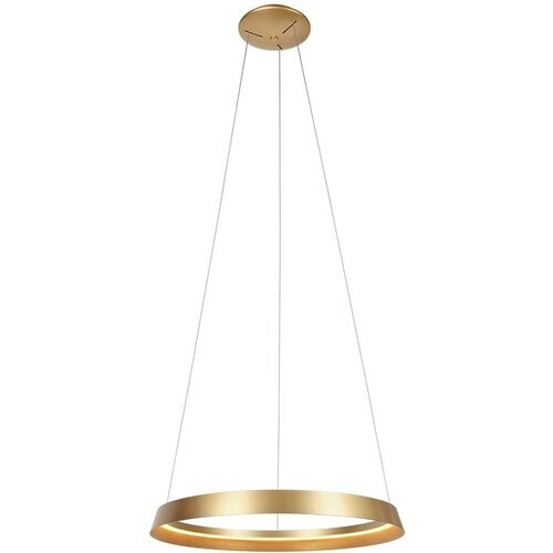 Tweedekans Steinhauer - hanglamp - Ringlux - goud - metaal - Ø 60cm - LED - 3692GO